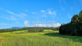 초원, 목초지, 들, field, grassland, 사진,이미지,일러스트,캘리그라피 - phototo73작가 크라우드픽 - 저작권 걱정 없는 상업용 이미지