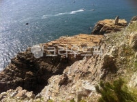 태종대, 부산, busan, 난간, nature, 사진,이미지,일러스트,캘리그라피 - ydkenal작가 크라우드픽 - 저작권 걱정 없는 상업용 이미지