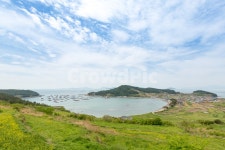 청산도, 유채꽃, 유채꽃밭, 섬, 바다, 사진,이미지,일러스트,캘리그라피 - 집시작가 크라우드픽 - 저작권 걱정 없는 상업용 이미지