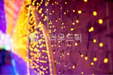 전구, 불빛, 보케, 아웃포커싱, 오산, 사진,이미지,일러스트,캘리그라피 - Nyoug800101작가 크라우드픽 - 저작권 걱정 없는 상업용 이미지