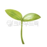 잎, 새싹, leaf, sprout, 새싹일러스트, 사진,이미지,일러스트,캘리그라피 - aniart09작가 크라우드픽 - 저작권 걱정 없는 상업용 이미지