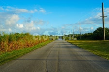 괌, 여행, 길, 풍경, 광활함, 사진,이미지,일러스트,캘리그라피 - 심상s작가 크라우드픽 - 저작권 걱정 없는 상업용 이미지