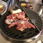 고기, 돼지고기, 불판, 굽다, 바베큐, 사진,이미지,일러스트,캘리그라피 - leh556작가 크라우드픽 - 저작권 걱정 없는 상업용 이미지