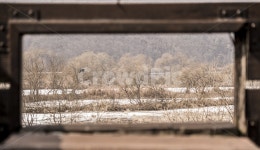 경안천, 생태습지공원, 조류, 습지, 새, 사진,이미지,일러스트,캘리그라피 - mhpez작가 크라우드픽 - 저작권 걱정 없는 상업용 이미지