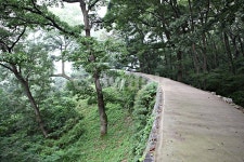 공주산성, 산성, 성, 성곽, 길, 사진,이미지,일러스트,캘리그라피 - 함께사는세상작가 크라우드픽 - 저작권 걱정 없는 상업용 이미지