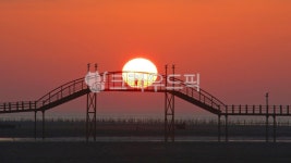 nature, 자연, outdoors, 옥외, bridge, 사진,이미지,일러스트,캘리그라피 - 영산공작가 크라우드픽 - 저작권 걱정 없는 상업용 이미지