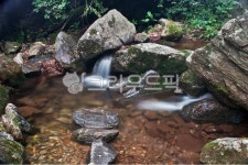 계곡, 폭포, 청계산, 물, 자연, 사진,이미지,일러스트,캘리그라피 - Deep bLUE작가 크라우드픽 - 저작권 걱정 없는 상업용 이미지