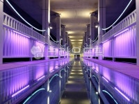 이예대교, 울산대교, 태화강대교, 오산광장대교, 인도교, 사진,이미지,일러스트,캘리그라피 - 작은새작가 크라우드픽 - 저작권 걱정 없는 상업용... 