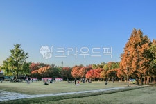 공원, 숲, 광장, 사람, 옥외, 사진,이미지,일러스트,캘리그라피 - imlover작가 크라우드픽 - 저작권 걱정 없는 상업용 이미지