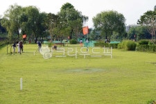 파크골프, 파크골프장, 스포츠, 취미, 운동, 사진,이미지,일러스트,캘리그라피 - 나비처럼작가 크라우드픽 - 저작권 걱정 없는 상업용 이미지