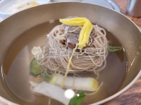 막국수, 물막국수, 냉면, 물냉면, 평양냉면, 사진,이미지,일러스트,캘리그라피 - 박한세작가 크라우드픽 - 저작권 걱정 없는 상업용 이미지