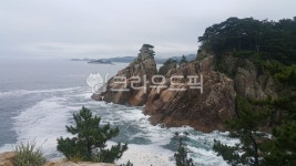 자연, 바다, 소나무, 바위, 파도, 사진,이미지,일러스트,캘리그라피 - 나는너작가 크라우드픽 - 저작권 걱정 없는 상업용 이미지