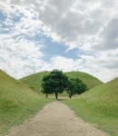 대릉원, 잔디, 경주, 나무, 한국자연풍경, 사진,이미지,일러스트,캘리그라피 - Nunee0208작가 크라우드픽 - 저작권 걱정 없는 상업용 이미지