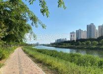 도시, 중랑천, 뚝방, 고층건물, 내천, 사진,이미지,일러스트,캘리그라피 - SouthBig작가 크라우드픽 - 저작권 걱정 없는 상업용 이미지