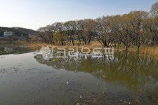 신정호, 신정호국민관광지, 아산, 인공호수, 호수, 사진,이미지,일러스트,캘리그라피 - Deep bLUE작가 크라우드픽 - 저작권 걱정 없는 상업용... 