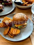 브런치, 음식, 식사, 푸드, food, 사진,이미지,일러스트,캘리그라피 - sunny1986작가 크라우드픽 - 저작권 걱정 없는 상업용 이미지