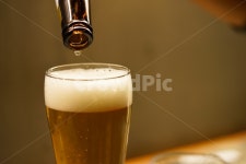 맥주, 병맥주, 잔, 병, beer, 사진,이미지,일러스트,캘리그라피 - pb이로작가 크라우드픽 - 저작권 걱정 없는 상업용 이미지