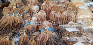 건어물, 시장, 건어물시장, 오징어, 문어, 사진,이미지,일러스트,캘리그라피 - 하나임작가 크라우드픽 - 저작권 걱정 없는 상업용 이미지