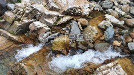 계곡, 물, 시냇가, 시내, 바위, 사진,이미지,일러스트,캘리그라피 - Solomon작가 크라우드픽 - 저작권 걱정 없는 상업용 이미지