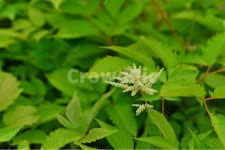 광주, 서구, 공원, 풍암저수지, 풍암공원, 사진,이미지,일러스트,캘리그라피 - 영산공작가 크라우드픽 - 저작권 걱정 없는 상업용 이미지