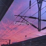 전봇대, 일몰, 보라하늘, 핑크하늘, 알록달록하늘, 사진,이미지,일러스트,캘리그라피 - No0o0o038작가 크라우드픽 - 저작권 걱정 없는 상업용... 