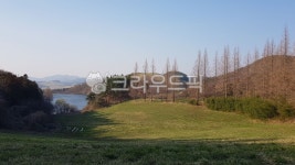 서산, 용비지, 용현저수지, 목장, 농장, 사진,이미지,일러스트,캘리그라피 - cem309작가 크라우드픽 - 저작권 걱정 없는 상업용 이미지