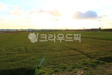 nature, 자연, outdoors, 옥외, field, 사진,이미지,일러스트,캘리그라피 - 체한그림자작가 크라우드픽 - 저작권 걱정 없는 상업용 이미지