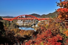 한탄강, 철원군, 태봉대교, 국가지질공원, 가을, 사진,이미지,일러스트,캘리그라피 - Deep bLUE작가 크라우드픽 - 저작권 걱정 없는 상업용 이미지