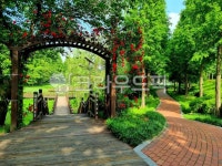 장미꽃, 장미, 산책로, 산책길, walkway, 사진,이미지,일러스트,캘리그라피 - Gabruel작가 크라우드픽 - 저작권 걱정 없는 상업용 이미지