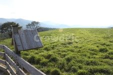 잔디, 목장, 들판, 산, 하늘, 사진,이미지,일러스트,캘리그라피 - 그린시드작가 크라우드픽 - 저작권 걱정 없는 상업용 이미지