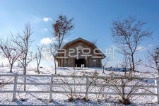 안성, 팜랜드, 농장, 겨울, 흰, 사진,이미지,일러스트,캘리그라피 - 참 아름다우리라작가 크라우드픽 - 저작권 걱정 없는 상업용 이미지