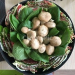 샤브샤브, 밀푀유나베, 밀푀유나베만들기, 밀푀유나베레시피, 간단한레시피, 사진,이미지,일러스트,캘리그라피 - Ninpotin작가 크라우드픽... 