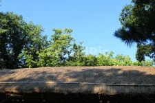 옛날집, 초가집, 초가, 초가지붕, 볏짚, 사진,이미지,일러스트,캘리그라피 - 청랑작가 크라우드픽 - 저작권 걱정 없는 상업용 이미지