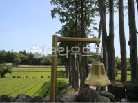 녹차밭, 차밭, 녹차농원, 녹차농장, 그린티, 사진,이미지,일러스트,캘리그라피 - 애롱작가 크라우드픽 - 저작권 걱정 없는 상업용 이미지