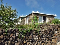 민가, 제주, 올레20코스, 올레, 돌담, 사진,이미지,일러스트,캘리그라피 - Deep bLUE작가 크라우드픽 - 저작권 걱정 없는 상업용 이미지