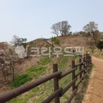 등산, 등산길, 오르막, 오르막길, 길, 사진,이미지,일러스트,캘리그라피 - 에리카루피작가 크라우드픽 - 저작권 걱정 없는 상업용 이미지