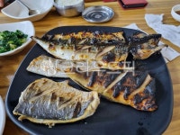 생선, 생선구이, 접시, 반찬, 물고기, 사진,이미지,일러스트,캘리그라피 - Ndami830작가 크라우드픽 - 저작권 걱정 없는 상업용 이미지