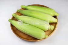 옥수수, 초당옥수수, 달콤한, 아삭한, 여름, 사진,이미지,일러스트,캘리그라피 - 대송작가 크라우드픽 - 저작권 걱정 없는 상업용 이미지