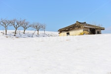 장성, 삼서, 외딴집, 외딴집설경, 겨울, 사진,이미지,일러스트,캘리그라피 - 영산공작가 크라우드픽 - 저작권 걱정 없는 상업용 이미지