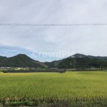 논, 들, 산, 자연, 가을, 사진,이미지,일러스트,캘리그라피 - Ndldpdnjs127작가 크라우드픽 - 저작권 걱정 없는 상업용 이미지