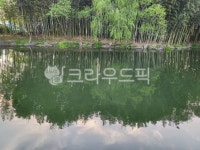 자연, 연못, 공원, 진주, 진주공원, 사진,이미지,일러스트,캘리그라피 - buildmommy작가 크라우드픽 - 저작권 걱정 없는 상업용 이미지