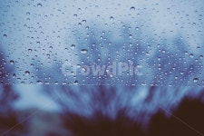 비, cold, rain, 우산, 쓸쓸, 사진,이미지,일러스트,캘리그라피 - 사하작가 크라우드픽 - 저작권 걱정 없는 상업용 이미지