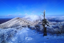 함백산, 설경, 풍경, 상고대, 정선, 사진,이미지,일러스트,캘리그라피 - 순딩이작가 크라우드픽 - 저작권 걱정 없는 상업용 이미지