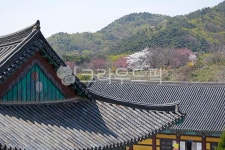 지붕, 내림마루, 용마루, 한옥, 합각, 사진,이미지,일러스트,캘리그라피 - Deep bLUE작가 크라우드픽 - 저작권 걱정 없는 상업용 이미지