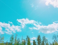 하늘, sky, 구름, 나무, 청량한날씨, 사진,이미지,일러스트,캘리그라피 - 윤베리작가 크라우드픽 - 저작권 걱정 없는 상업용 이미지