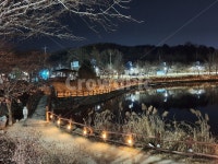 야간, 야경, 자연, 풍경, 공원, 사진,이미지,일러스트,캘리그라피 - 황포토작가 크라우드픽 - 저작권 걱정 없는 상업용 이미지