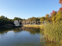 가을, 공원, 호수, 낙엽, 단풍, 사진,이미지,일러스트,캘리그라피 - meinliebe작가 크라우드픽 - 저작권 걱정 없는 상업용 이미지