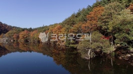 주산지, 경북청송, 호수, 연못, 자연, 사진,이미지,일러스트,캘리그라피 - jahon7작가 크라우드픽 - 저작권 걱정 없는 상업용 이미지
