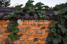 담, 돌담, 잎, 호박, 기와, 사진,이미지,일러스트,캘리그라피 - 산사랑작가 크라우드픽 - 저작권 걱정 없는 상업용 이미지