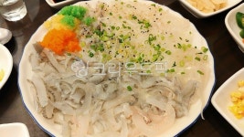 요리, 음식, food, 활어회, 오징어회, 사진,이미지,일러스트,캘리그라피 - Nfrogpond작가 크라우드픽 - 저작권 걱정 없는 상업용 이미지